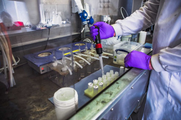 A scientist doing an experiment in a laboratory.