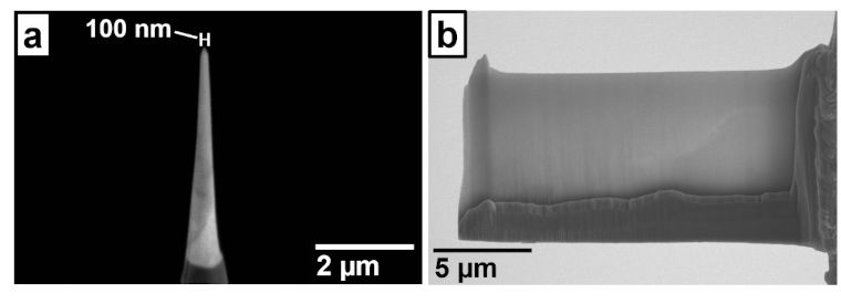 details of samples through a microscope