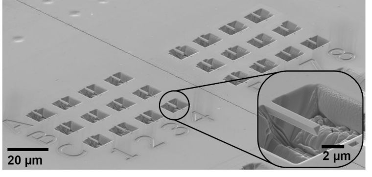 A zoomed in area of a sample under a microscope