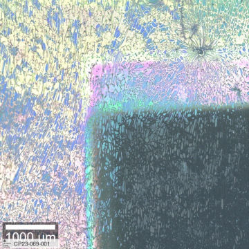 A view of a sample through the microscope