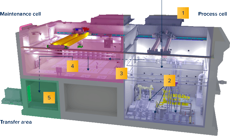 The European Spallation Source Active Cells facility locating the maintenance cell, the transfer cell, and the process cell.