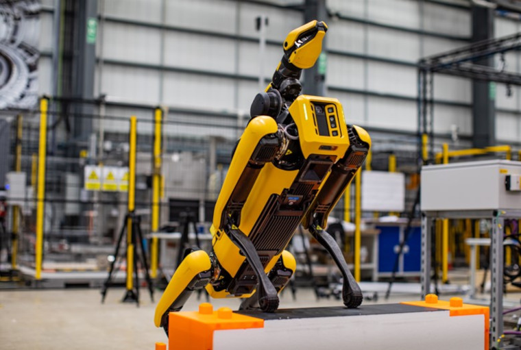 A robot dog on its hind legs looking for innovation.
