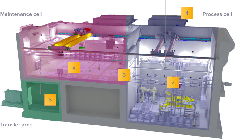 The European Spallation Source Active Cells facility locating the maintenance cell, the transfer cell, and the process cell.