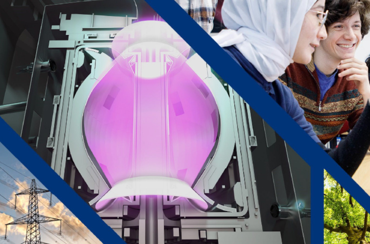 A compilation of a power pylon, a tokamak fusion energy machine, a forest, and a student.