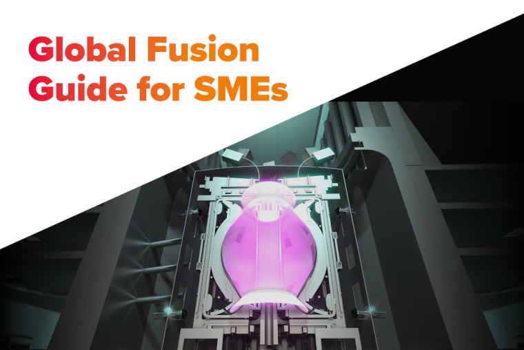 Global Fusion Guide for SMEs